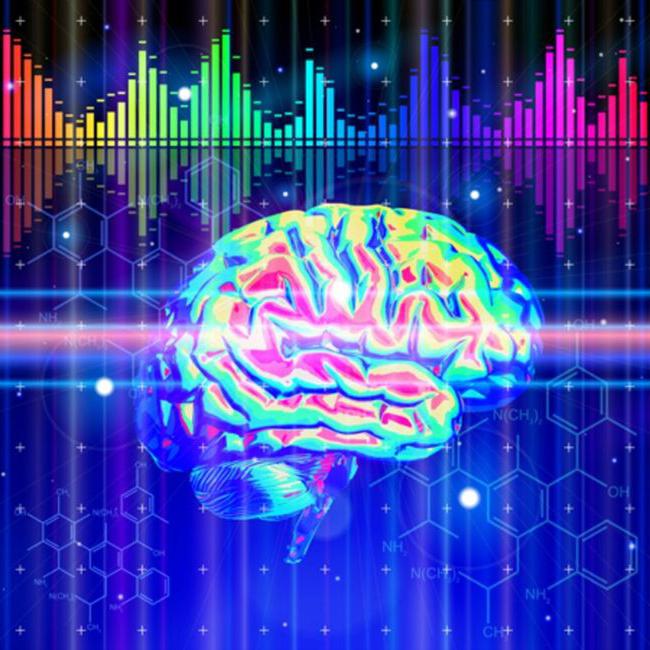 Prikaz možganske encephalograma
