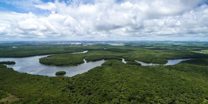 přírodních podmínek a zdrojů Brazílie