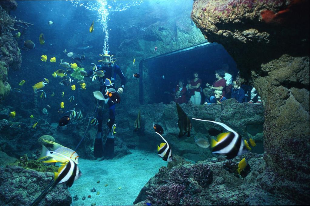 Музеен аквариум
