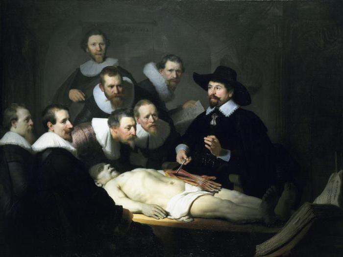 Rembrandt stručná biografie