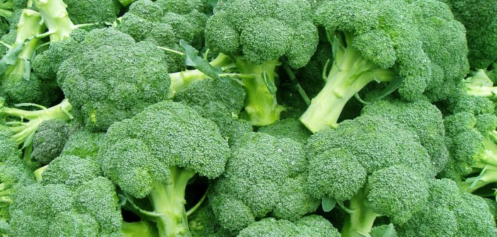 Broccoli freschi