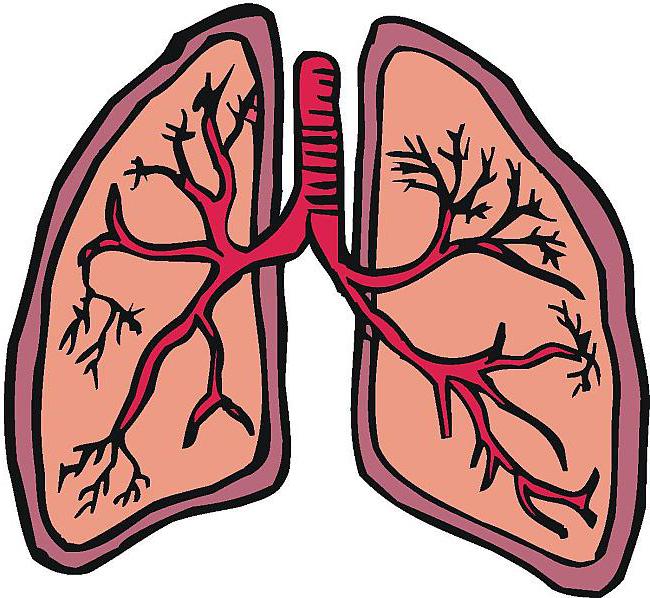 sintomi di bronchite adulta