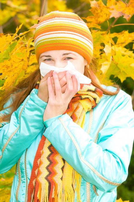simptomi alergijskega bronhitisa pri odraslih