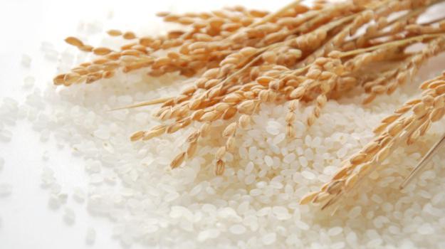 smeđa riža je korisna