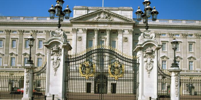 Buckinghamska palača v Londonu