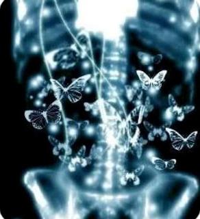 metulji v želodcu