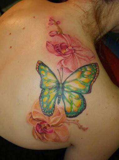 motýl tetování, což znamená