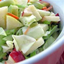 salata od kupusa