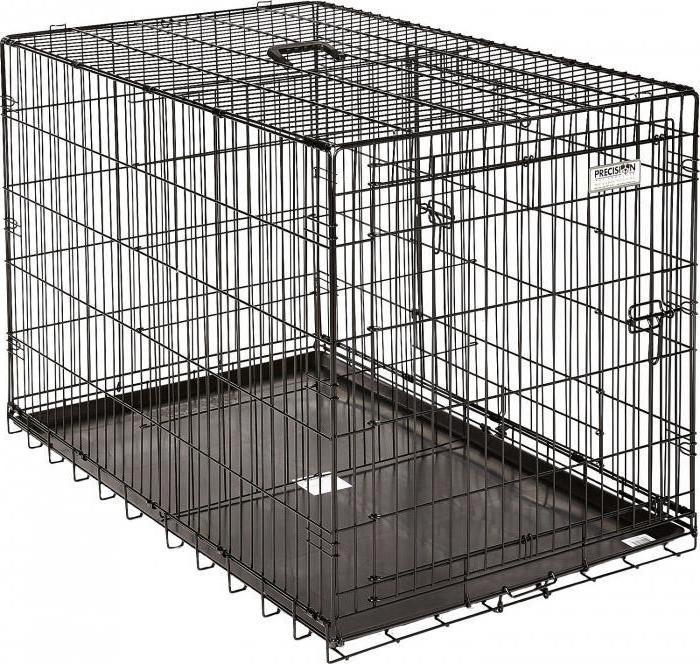 tenere un cane in una gabbia nell'appartamento