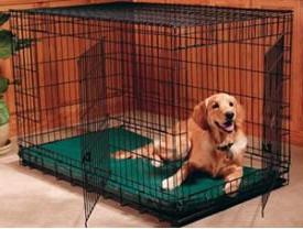 kavez za pse