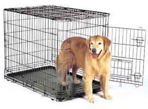 grande gabbia per cani