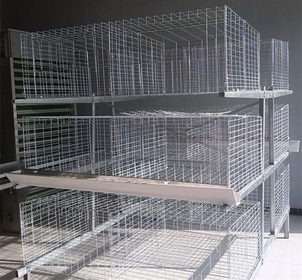 kavezi za piletine