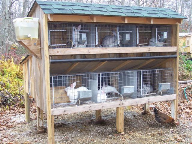 kako napraviti kavez za zečeve