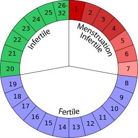 квадрант метод за защита от нежелана таблица на бременността