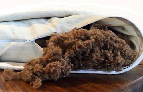 imbottitura cuscino lana di cammello
