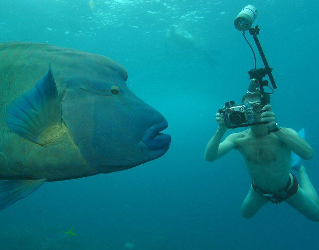 vodootporne podvodne kamere