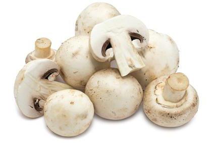 puoi mangiare funghi prataioli crudi