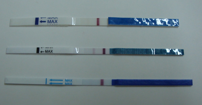Test ovulacije