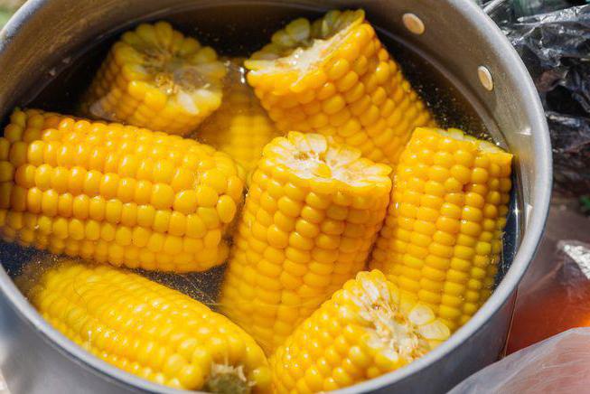 konserwowanie kukurydzy na zimę