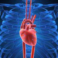 trattamento dei sintomi cardio-nevrotici