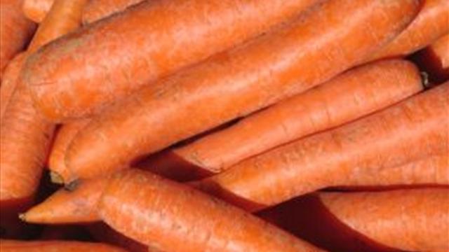 varietà di carote per lo stoccaggio