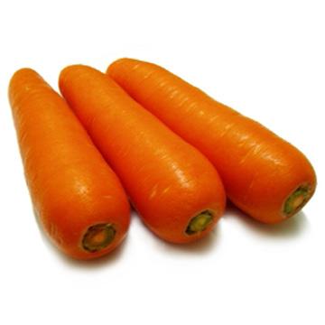 семена от моркови