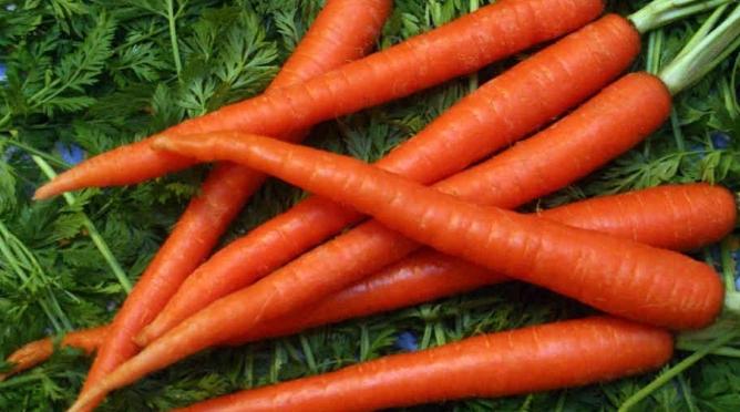Морковни полезни свойства