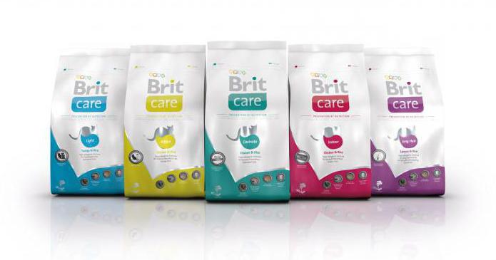 recensioni di cibo per gatti brit food