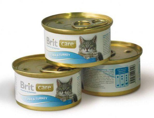 recenze na krmivo pro kočky brit