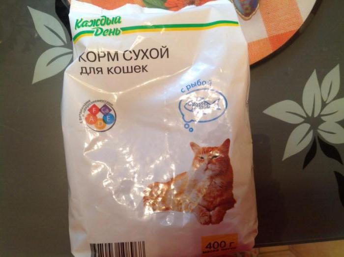 suché kočkové krmivo každý den