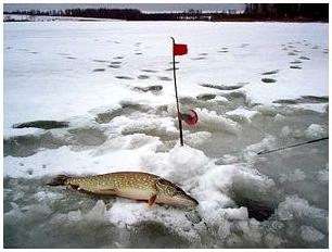 Pike риболов за знамена през зимата