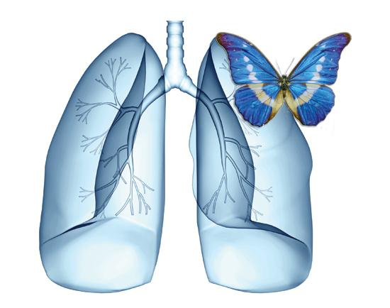 onemocnění plic