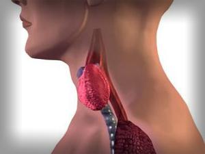 Повишена функция на щитовидната жлеза