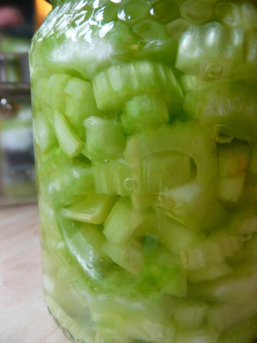 nakládaný celer