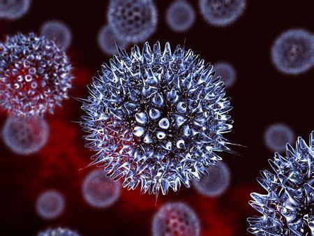 Značajke strukture virusa