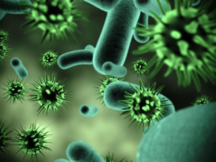 la struttura del virus, i batteri