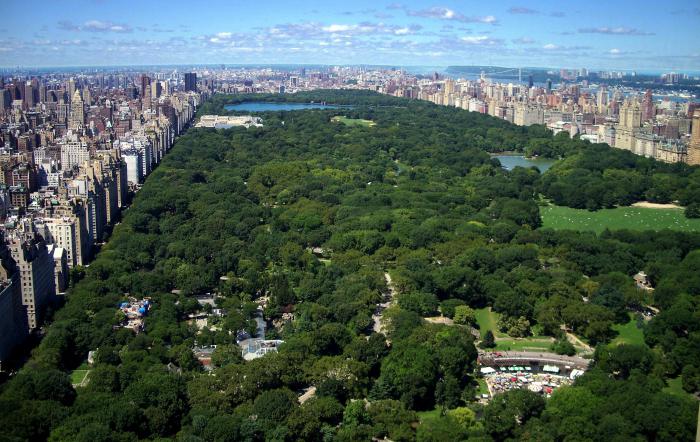 Central Park v New Yorku