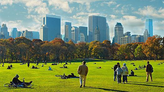 Zdjęcie New York Central Park