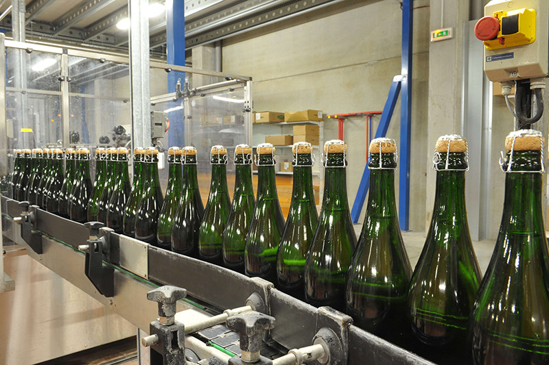 Produkcja szampana