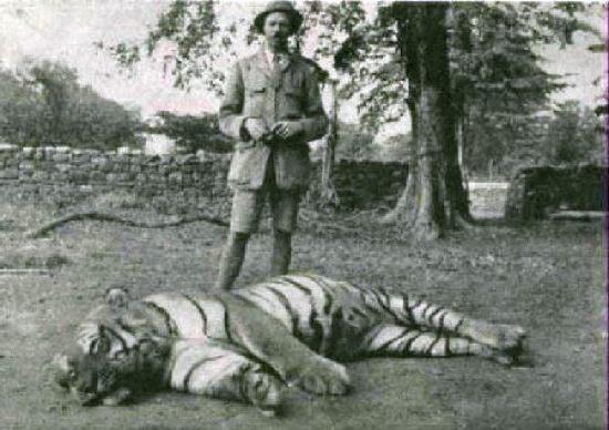 Champawat tigress movie