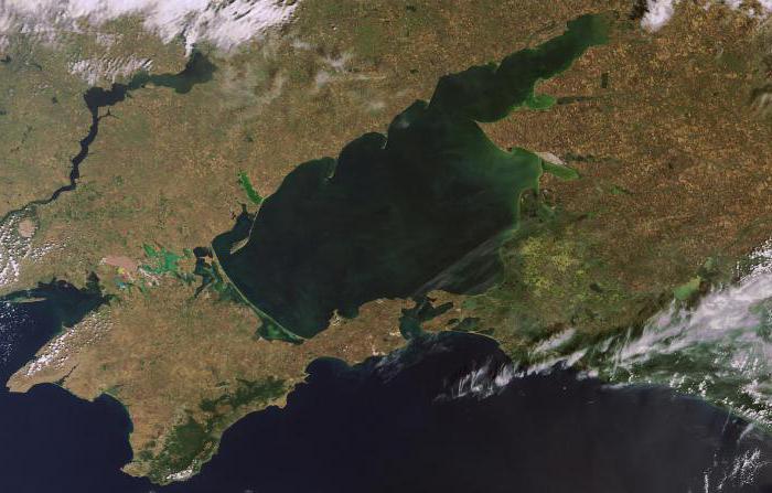 Zatoka Taganrog