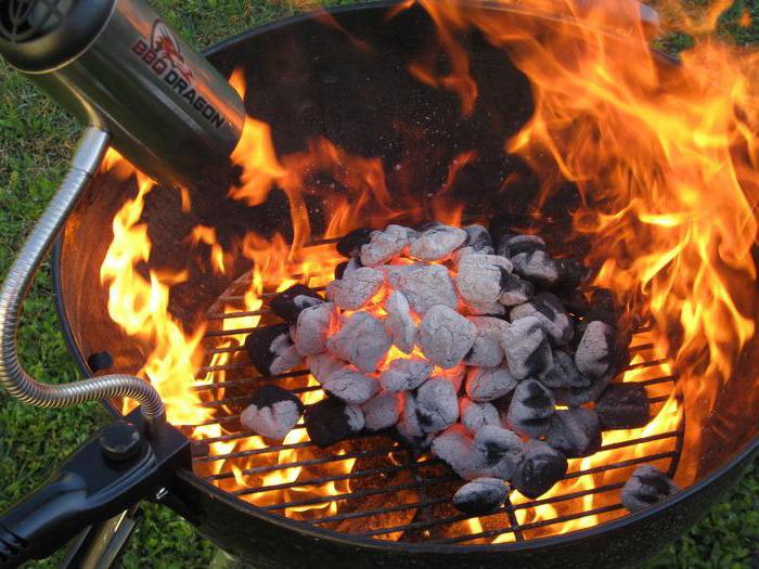 ugljen grill recenzije