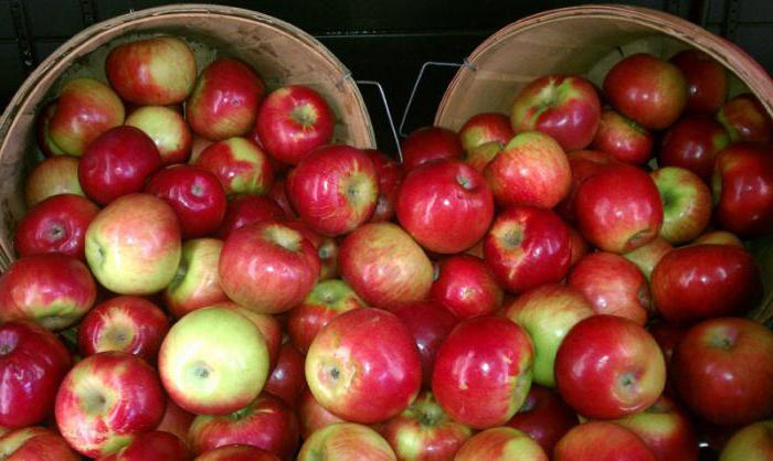 Charlotte bujne s jabukama koje se skupljaju u pećnici