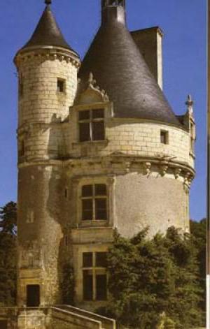 Historia zamku Chenonceau