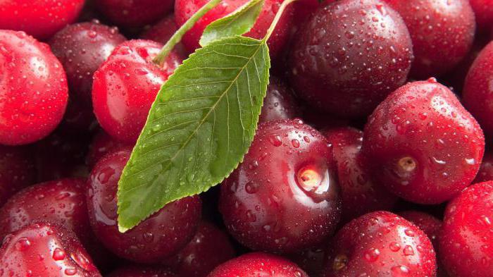 cherry benefit a poškození