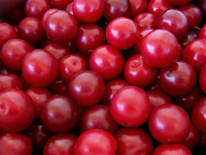 cherry švestky červené výhody a poškození