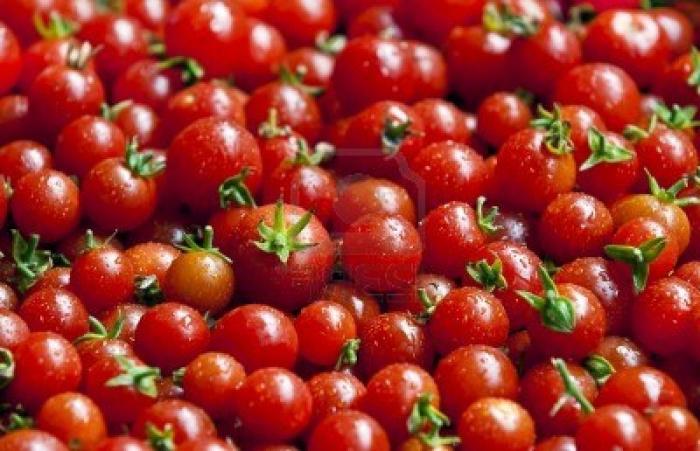 най-добрите сортове чери домати