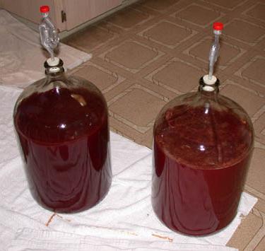vino di ciliegie fatto in casa con le bucce