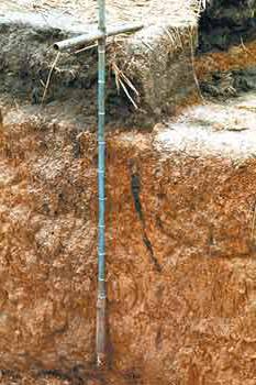 Właściwości gleby kasztanowej