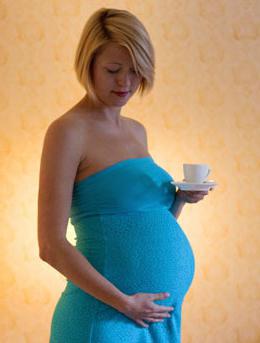 čekanku během těhotenství